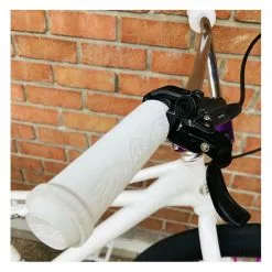 Se-bikes Custom SE BIKES Monster Quad 29+ Artic White 2022 26 Se-bikes Custom SE BIKES Monster Quad 29+ Artic White 2022 -France Accessoires Vélo Soldes Boutique custom se bikes monster quad 29 artic white 2022 10