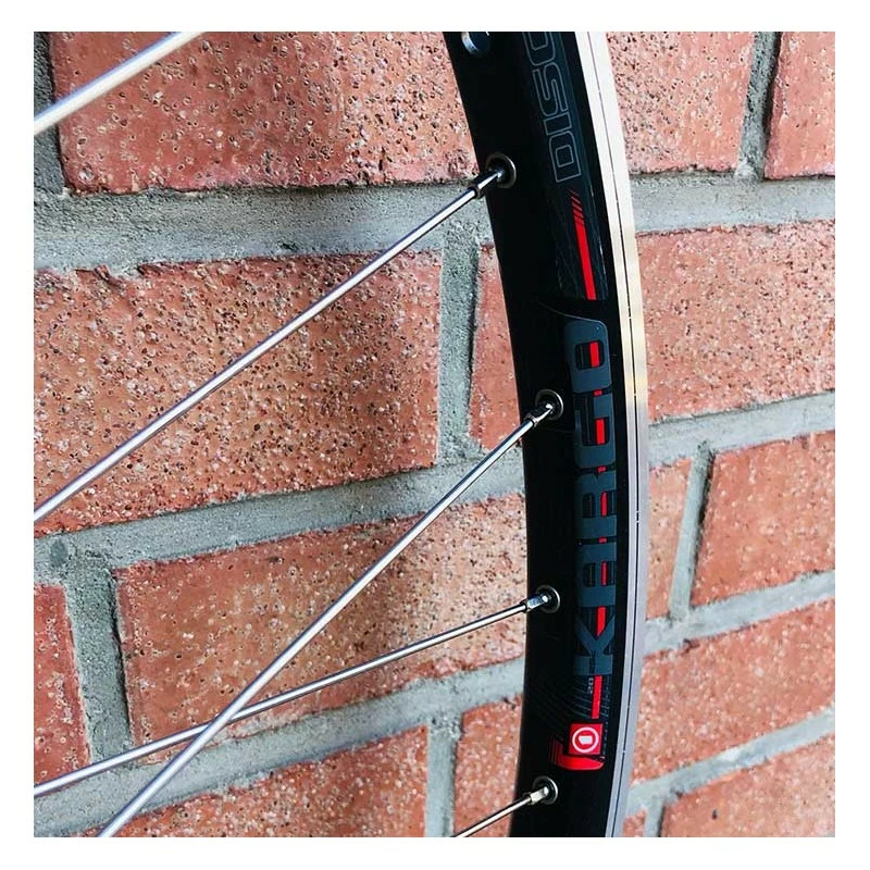 BIKELIFE Roue Arrière Custom SeBike 29 Pouces 10v - Wheeling Bike 7 BIKELIFE Roue Arrière Custom SeBike 29 Pouces 10v - Wheeling Bike – Image 5